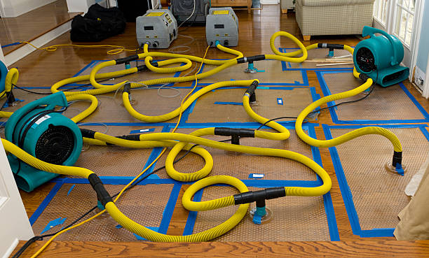 Professional Basement Flood Cleanup technician working in Little River, AL
